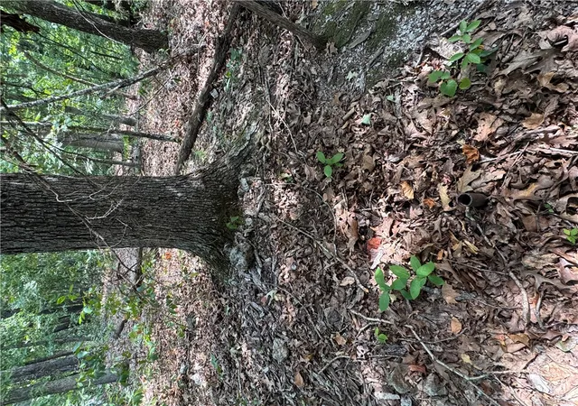 Photo 4 of Land for sale at Lot 26, Block 6 Grantham Dr, Bella Vista, AR 72714 | MLS# 1360483 | Listing updated on 2026-08-29