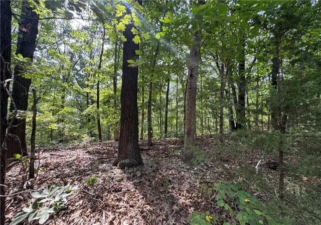 Photo 4 of Land for sale at Lot 32, Block 6 Grantham Driive Dr, Bella Vista, AR 72714 | MLS# 1360484 | Listing updated on 2026-08-29
