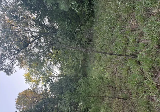 Photo 1 of Land for sale at 10 Earl Ln, Dover, AR 72837 | MLS# 1360633 | Listing updated on 2026-08-31