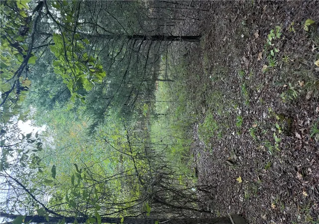 Photo 2 of Land for sale at 10 Earl Ln, Dover, AR 72837 | MLS# 1360633 | Listing updated on 2026-08-31