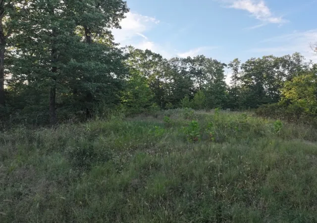Photo 2 of Land for sale at 405 Acres Beaver Holw Rd, Garfield, AR 72732 | MLS# 1360589 | Listing updated on 2026-09-01
