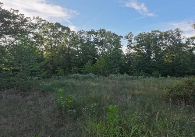 Photo 3 of Land for sale at 405 Acres Beaver Holw Rd, Garfield, AR 72732 | MLS# 1360589 | Listing updated on 2026-09-01