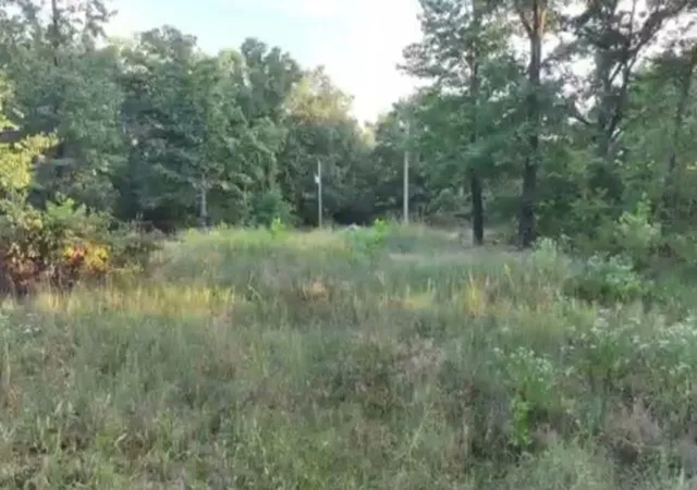 Photo 4 of Land for sale at 405 Acres Beaver Holw Rd, Garfield, AR 72732 | MLS# 1360589 | Listing updated on 2026-09-01