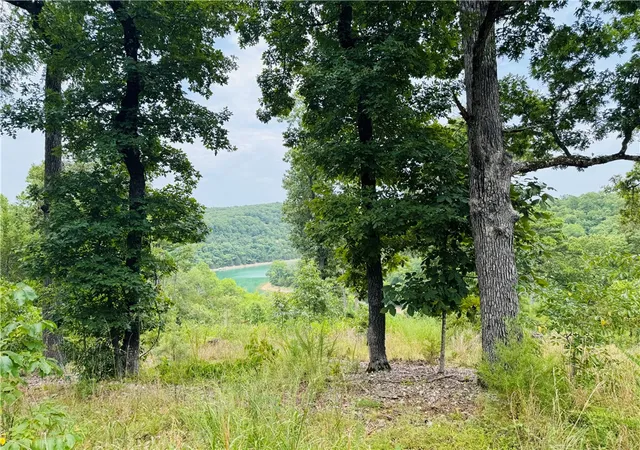 Photo 1 of Land for sale at Cr 150 Blackberry & Glen Hvn Ln, Eureka Springs, AR 72631 | MLS# 1360657 | Listing updated on 2026-09-01