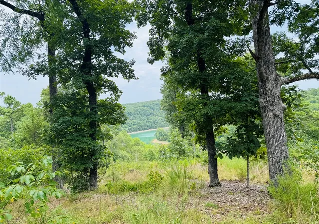 Photo 2 of Land for sale at Cr 150 Blackberry & Glen Hvn Ln, Eureka Springs, AR 72631 | MLS# 1360657 | Listing updated on 2026-09-01