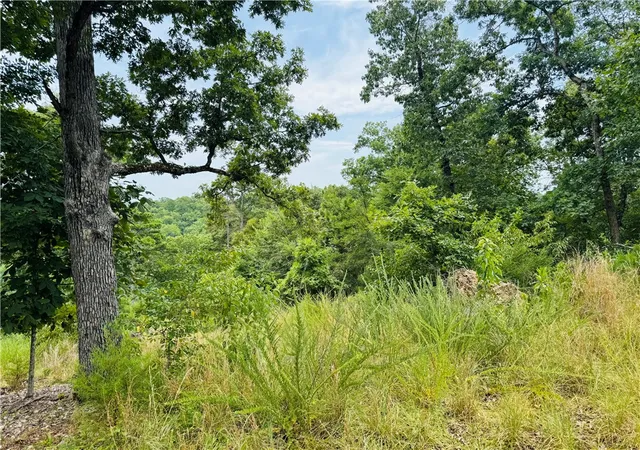 Photo 3 of Land for sale at Cr 150 Blackberry & Glen Hvn Ln, Eureka Springs, AR 72631 | MLS# 1360657 | Listing updated on 2026-09-01