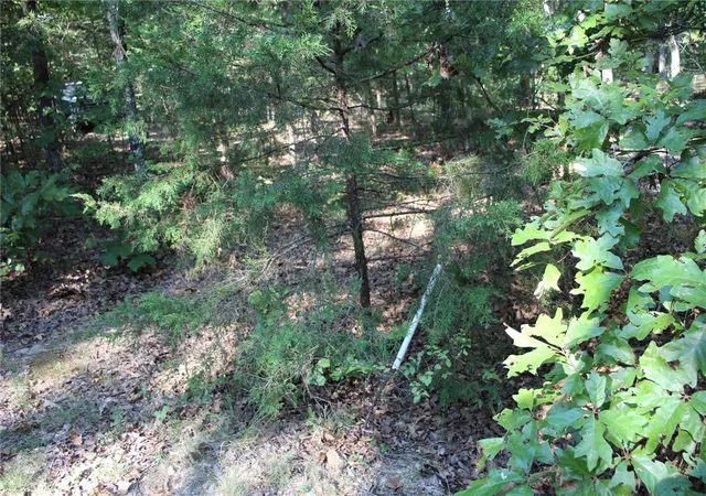 Photo 1 of Land for sale at Lot 38 Jeb Rd, Flippin, AR 72634 | MLS# 1360690 | Listing updated on 2026-09-01
