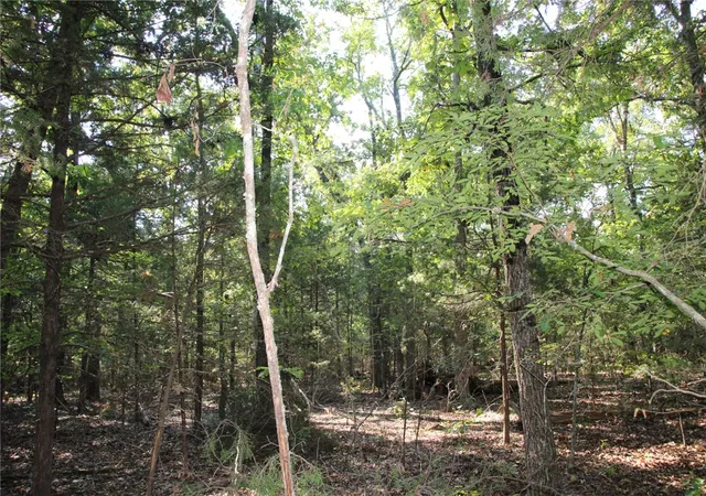 Photo 3 of Land for sale at Lot 38 Jeb Rd, Flippin, AR 72634 | MLS# 1360690 | Listing updated on 2026-09-01
