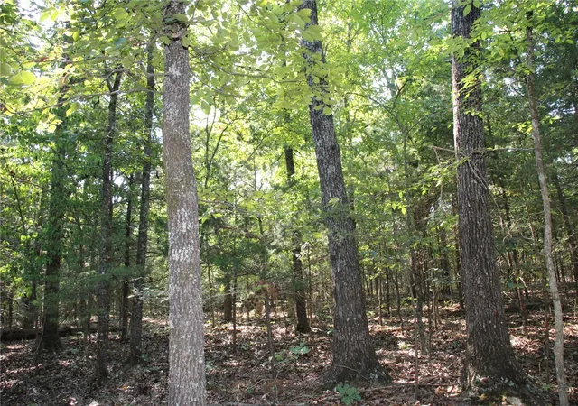 Photo 3 of Land for sale at Lot 38 Jeb Rd, Flippin, AR 72634 | MLS# 1360690 | Listing updated on 2026-09-01