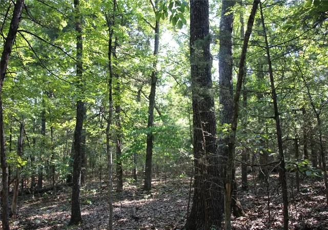 Photo 4 of Land for sale at Lot 38 Jeb Rd, Flippin, AR 72634 | MLS# 1360690 | Listing updated on 2026-09-01