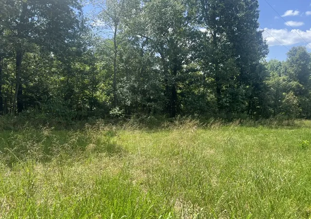 Photo 3 of Land for sale at 4629 Mallard Ter, Flippin, AR 72634 | MLS# 1360834 | Listing updated on 2026-09-08