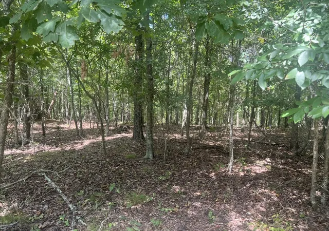 Photo 4 of House for sale at 4629 Mallard Ter, Flippin, AR 72634 | MLS# 1360834 | Listing updated on 2026-09-08