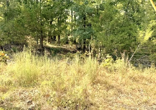 Photo 2 of Land for sale at 18886 Sugar Crk Rd, Garfield, AR 72732 | MLS# 1360877 | Listing updated on 2026-09-03