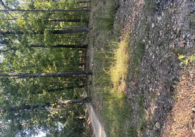Land for sale at Tbd Windsong Ln, Eureka Springs, AR 72631 | MLS# 1360897