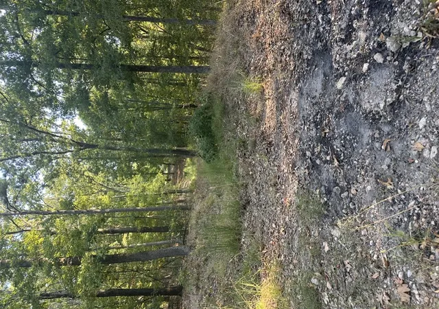 Photo 1 of Land for sale at Tbd Windsong Ln, Eureka Springs, AR 72631 | MLS# 1360897 | Listing updated on 2026-09-04