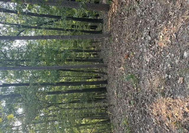 Photo 2 of Land for sale at Tbd Windsong Ln, Eureka Springs, AR 72631 | MLS# 1360897 | Listing updated on 2026-09-04