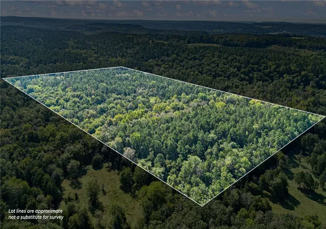 Photo 12 of Land for sale at 000 Welcome Home Rd, Hector, AR 72843 | MLS# 1360024 | Listing updated on 2026-09-03