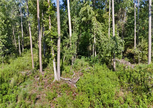 Photo 1 of Land for sale at 000 Welcome Home Rd, Hector, AR 72843 | MLS# 1360024 | Listing updated on 2026-09-03