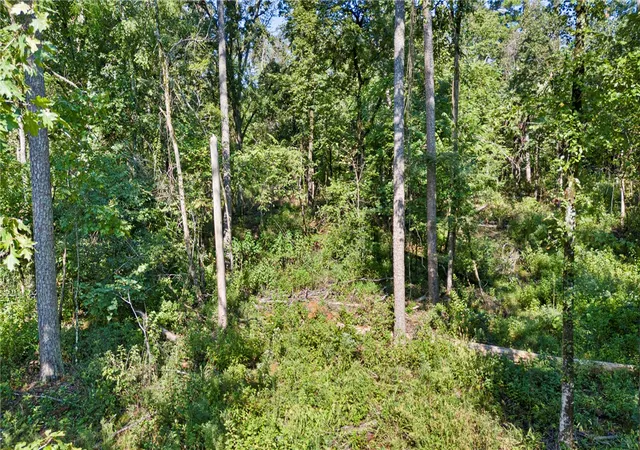 Photo 2 of Land for sale at 000 Welcome Home Rd, Hector, AR 72843 | MLS# 1360024 | Listing updated on 2026-09-03