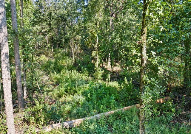 Photo 3 of Land for sale at 000 Welcome Home Rd, Hector, AR 72843 | MLS# 1360024 | Listing updated on 2026-09-03