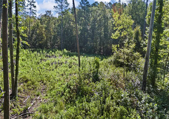 Photo 3 of House for sale at 000 Welcome Home Rd, Hector, AR 72843 | MLS# 1360024 | Listing updated on 2026-09-03