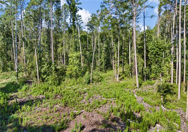 Photo 4 of House for sale at 000 Welcome Home Rd, Hector, AR 72843 | MLS# 1360024 | Listing updated on 2026-09-03