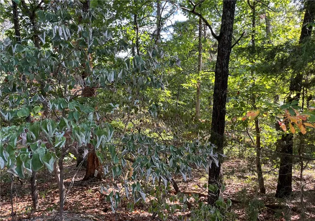 Photo 4 of Land for sale at Stone Ln, Bella Vista, AR 72714 | MLS# 1360724 | Listing updated on 2026-09-03