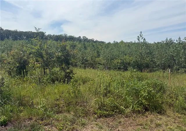 Land for sale at 000 Williams Ridge Dr, Dover, AR 72837 | MLS# 1361121