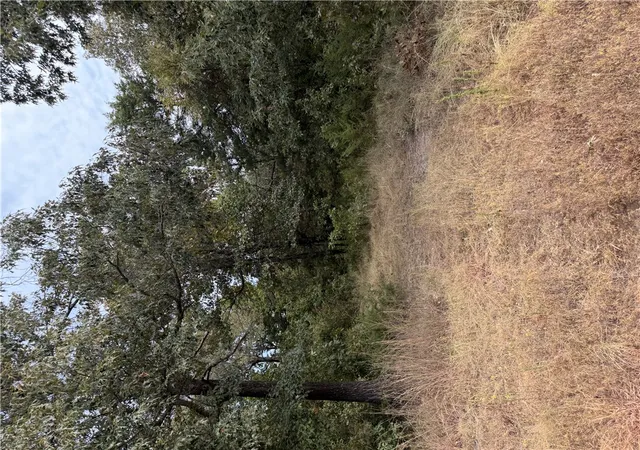 Photo 2 of Land for sale at Tbd Lot 23 2340 Madison 2340, Huntsville, AR 72740 | MLS# 1361228 | Listing updated on 2026-09-13