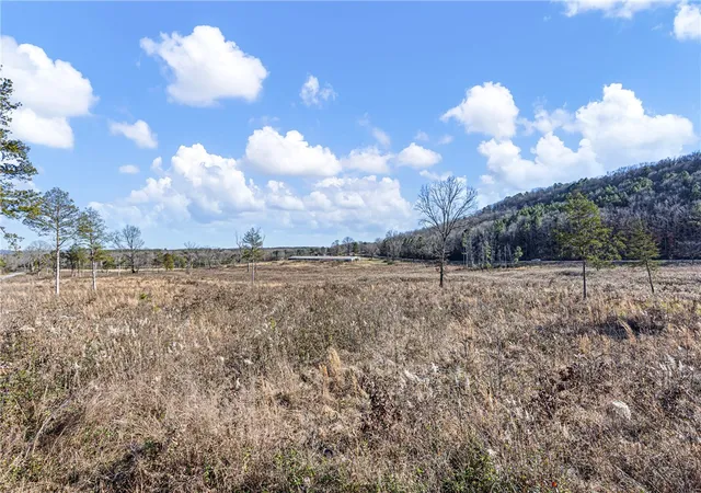 Photo 3 of House for sale at Tracts 1 & 9 Sr 164 W, Dover, AR 72837 | MLS# 1361249 | Listing updated on 2026-09-08