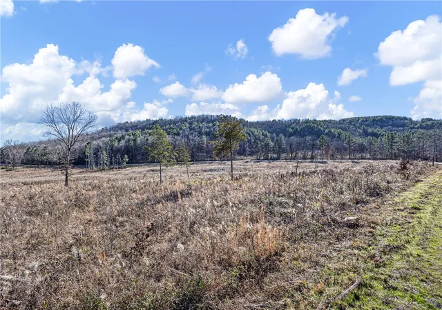 Photo 4 of House for sale at Tracts 1 & 9 Sr 164 W, Dover, AR 72837 | MLS# 1361249 | Listing updated on 2026-09-08