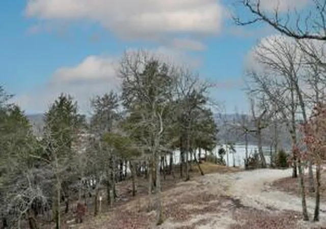 Photo 4 of Single family home for sale at 29931 State Hwy 86, Eagle Rock, MO 65641 | MLS# 1361334 | Listing updated on 2026-09-06