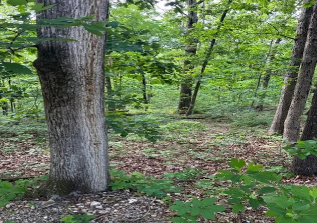Land for sale at St Ives Cir, Bella Vista, AR 72714 | MLS# 1361196