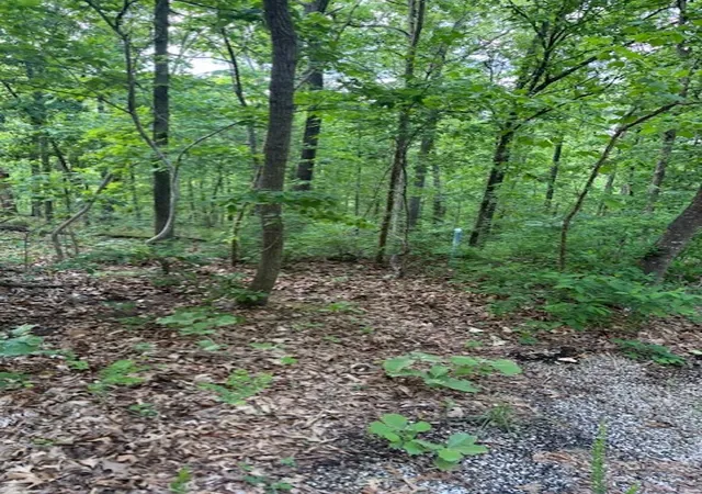 Land for sale at Eston Ln, Bella Vista, AR 72714 | MLS# 1361217