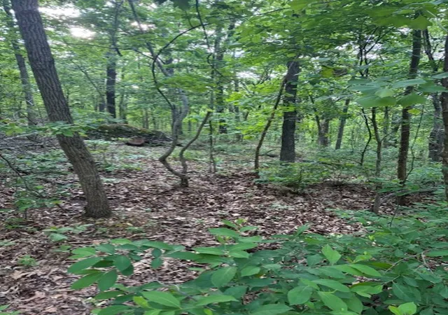 Photo 2 of Land for sale at Eston Ln, Bella Vista, AR 72714 | MLS# 1361217 | Listing updated on 2026-09-07