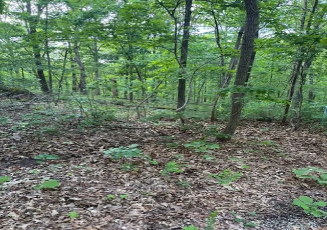 Photo 3 of Land for sale at Eston Ln, Bella Vista, AR 72714 | MLS# 1361217 | Listing updated on 2026-09-07