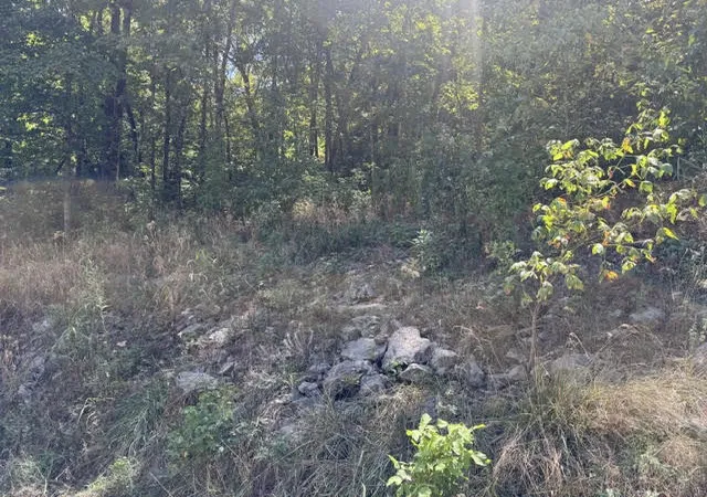 Land for sale at 56 Stateline Dr, Holiday Island, AR 72631 | MLS# 1361096