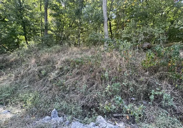 Photo 3 of Land for sale at 56 Stateline Dr, Holiday Island, AR 72631 | MLS# 1361096 | Listing updated on 2026-09-08