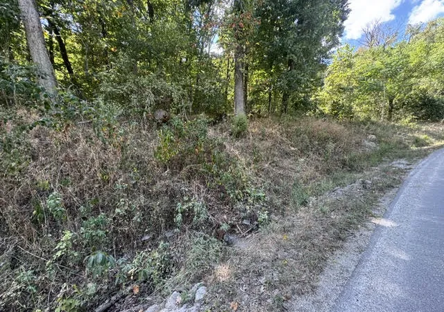Photo 4 of Land for sale at 56 Stateline Dr, Holiday Island, AR 72631 | MLS# 1361096 | Listing updated on 2026-09-08
