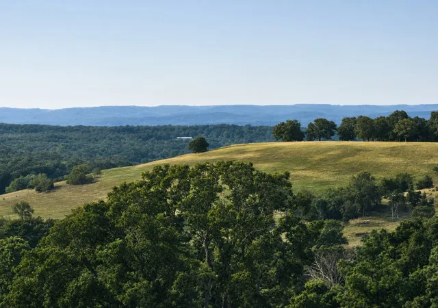 Photo 4 of Single family home for sale at 2901 Black Ranch Rd, Lead Hill, AR 72644 | MLS# 1361361 | Listing updated on 2026-09-09
