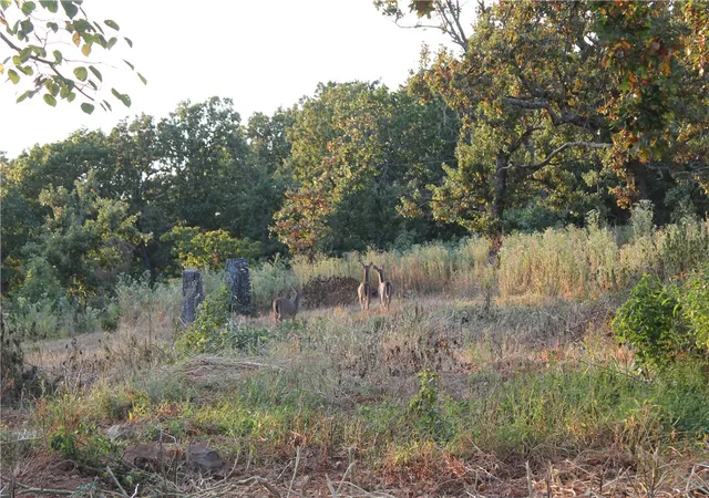 Photo 3 of House for sale at 1667 Madison 6345, Wesley, AR 72773 | MLS# 1361494 | Listing updated on 2026-09-12