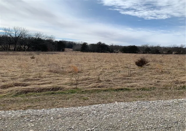 Photo 4 of Land for sale at 875-02837-000 Tbd Sandra, Berryville, AR 72616 | MLS# 1361392 | Listing updated on 2026-09-09