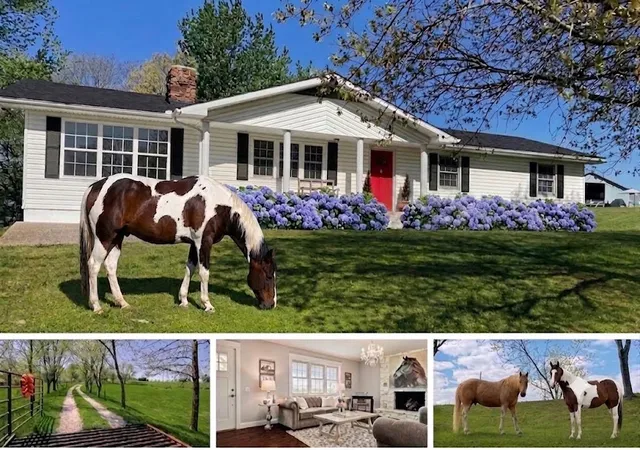 Photo 1 of Single family home for sale at 26093 State Hwy Nn, Washburn, MO 65772 | MLS# 1361247 | Listing updated on 2026-10-16