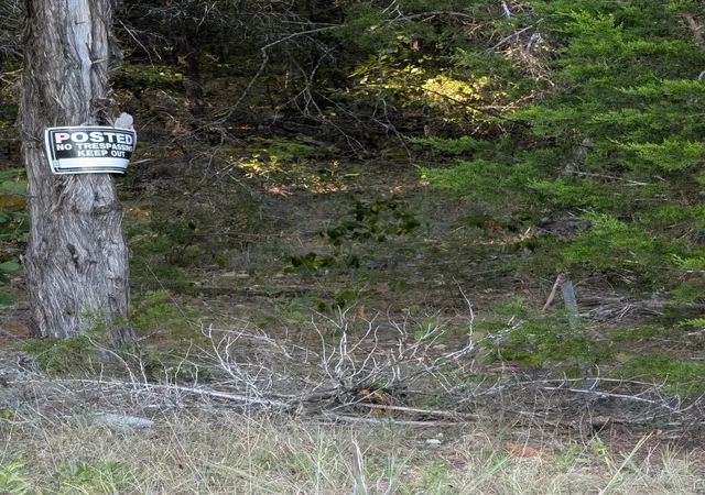 Photo 3 of Land for sale at Lone Star Trl, Lead Hill, AR 72644 | MLS# 1361593 | Listing updated on 2026-09-10