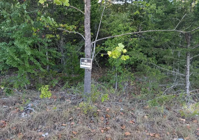 Photo 3 of Land for sale at Lone Star Trl, Lead Hill, AR 72644 | MLS# 1361593 | Listing updated on 2026-09-10
