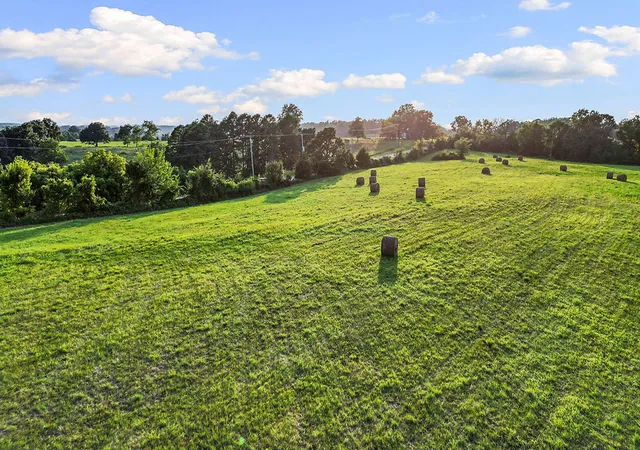 Photo 3 of Land for sale at 249 Mc 8096, Peel, AR 72668 | MLS# 1361850 | Listing updated on 2026-09-11