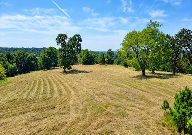 Photo 2 of Land for sale at Tbd Mountain Ridge Dr, Pineville, MO 64856 | MLS# 1361863 | Listing updated on 2026-09-12
