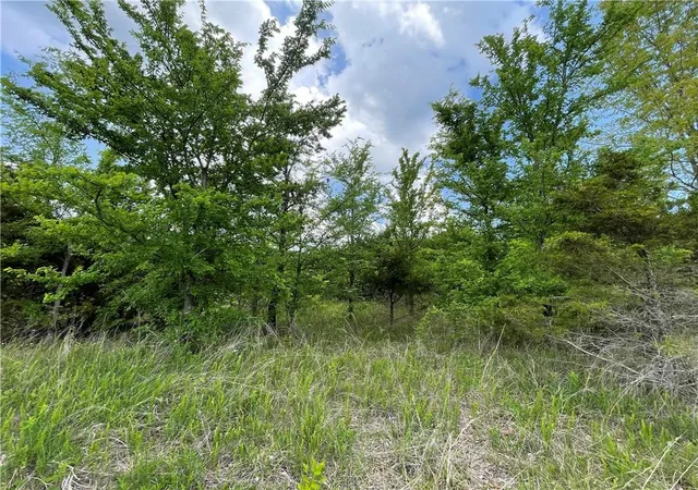 Photo 1 of Land for sale at Posy Mountain Dr Lot 319, Garfield, AR 72732 | MLS# 1361906 | Listing updated on 2026-09-15