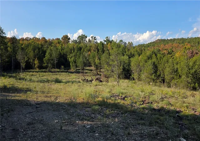 Photo 1 of Land for sale at 19001 Old Lowery Rd, Omaha, AR 72662 | MLS# 1361949 | Listing updated on 2026-09-14