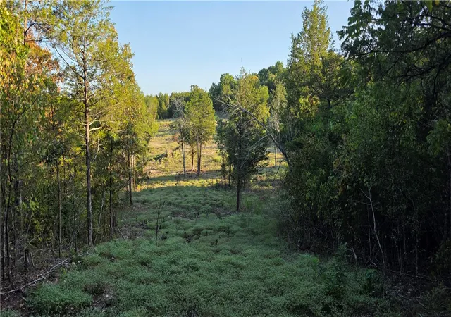 Photo 2 of Land for sale at 19001 Old Lowery Rd, Omaha, AR 72662 | MLS# 1361949 | Listing updated on 2026-09-14